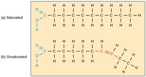 Saturated vs. unsaturated fatty acid structure
