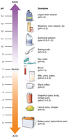 pH scale with common substances