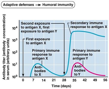 Acquire Immunity Anatomy & Physiology Immune System Study Guide | Notes