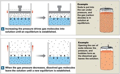 Henry's Law: gas solubility and pressure