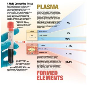 Composition of whole blood: plasma and formed elements