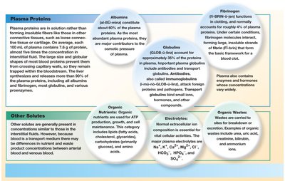 Plasma proteins and other solutes