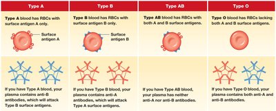 Blood types and associated antigens/antibodies