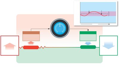 Homeostatic regulatory mechanism example