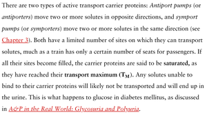 Text describing antiporters, symporters, and transport maximum