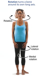 Rotation movements at neck and limbs