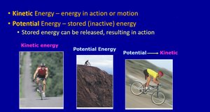 Kinetic and Potential Energy in Cycling