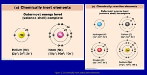 Chemically Inert and Reactive Elements