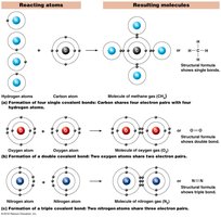 Formation of Covalent Bonds
