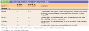 Table of Major Elements in the Human Body