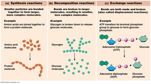 Types of Chemical Reactions