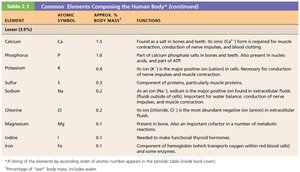 Table of Lesser Elements in the Human Body