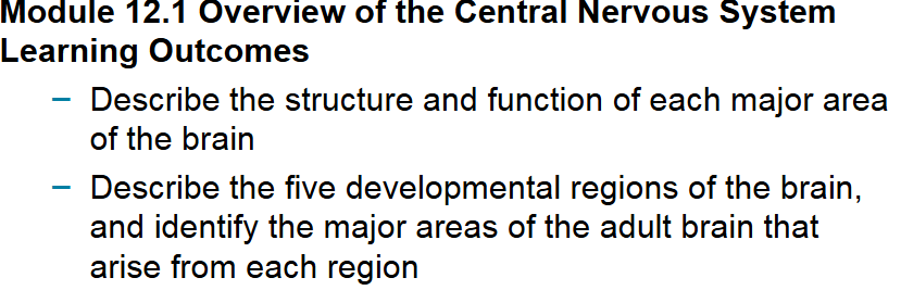 Module 12.1 Overview of the Central Nervous System Learning Outcomes