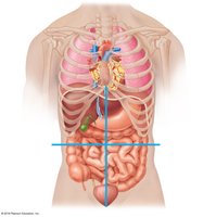 Abdominopelvic quadrants