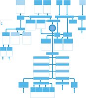 Tributaries of the venae cavae