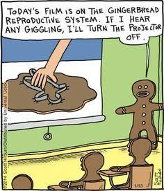 Overview of male and female reproductive systems