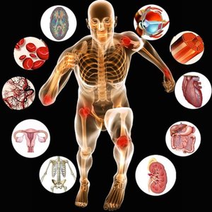 Diagram of human body with organ systems