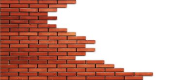 Brick wall representing compact bone