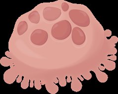 Osteoclast cell