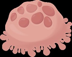 Osteoclast cell