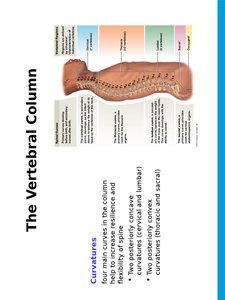 Abnormal spinal curvatures
