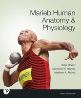 Marieb Human Anatomy & Physiology textbook cover