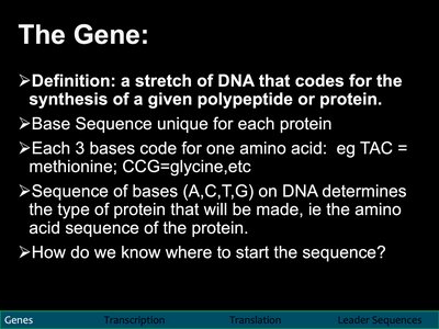 Definition and properties of a gene