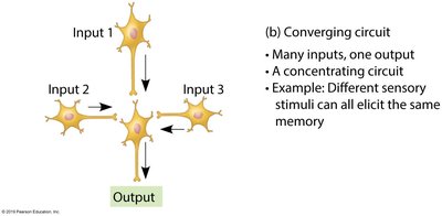 Converging circuit
