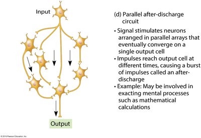 Parallel after-discharge circuit