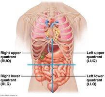 Abdominopelvic quadrants