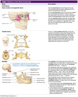 Table of facial bones: nasal and mandible