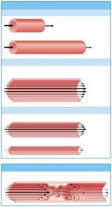 Factors affecting friction and vascular resistance
