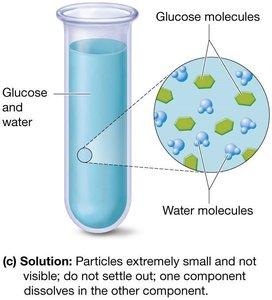 Solution: glucose dissolved in water