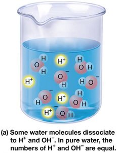 Dissociation of water into H+ and OH- ions