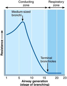 Resistance in respiratory passageways
