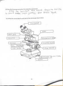 Labeled diagram of microscope parts for review