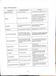 Table of microscope parts and functions