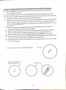 Drawings of microscope field of view with objects