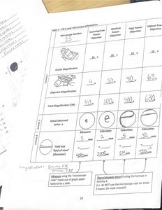 Table of objective magnification and field of view