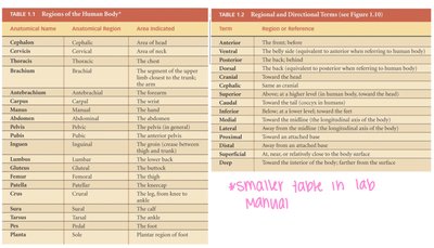 Tables of regional and directional terms