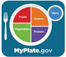 MyPlate.gov dietary guideline graphic
