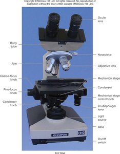 Labeled parts of a compound light microscope