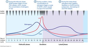 Hormonal regulation of the ovarian cycle