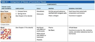 Comparison of classes of connective tissues (bone and blood).