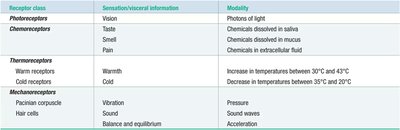 Table of sensory receptor classes and modalities