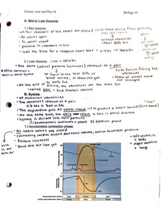 Cardiac cycle pressure-volume graph