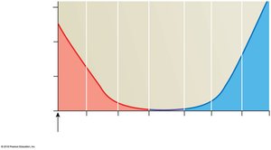 Vessel luminal diameter