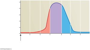 Total cross-sectional area