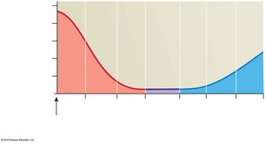 Velocity of blood flow