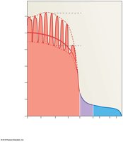 Pressures within the systemic circuit